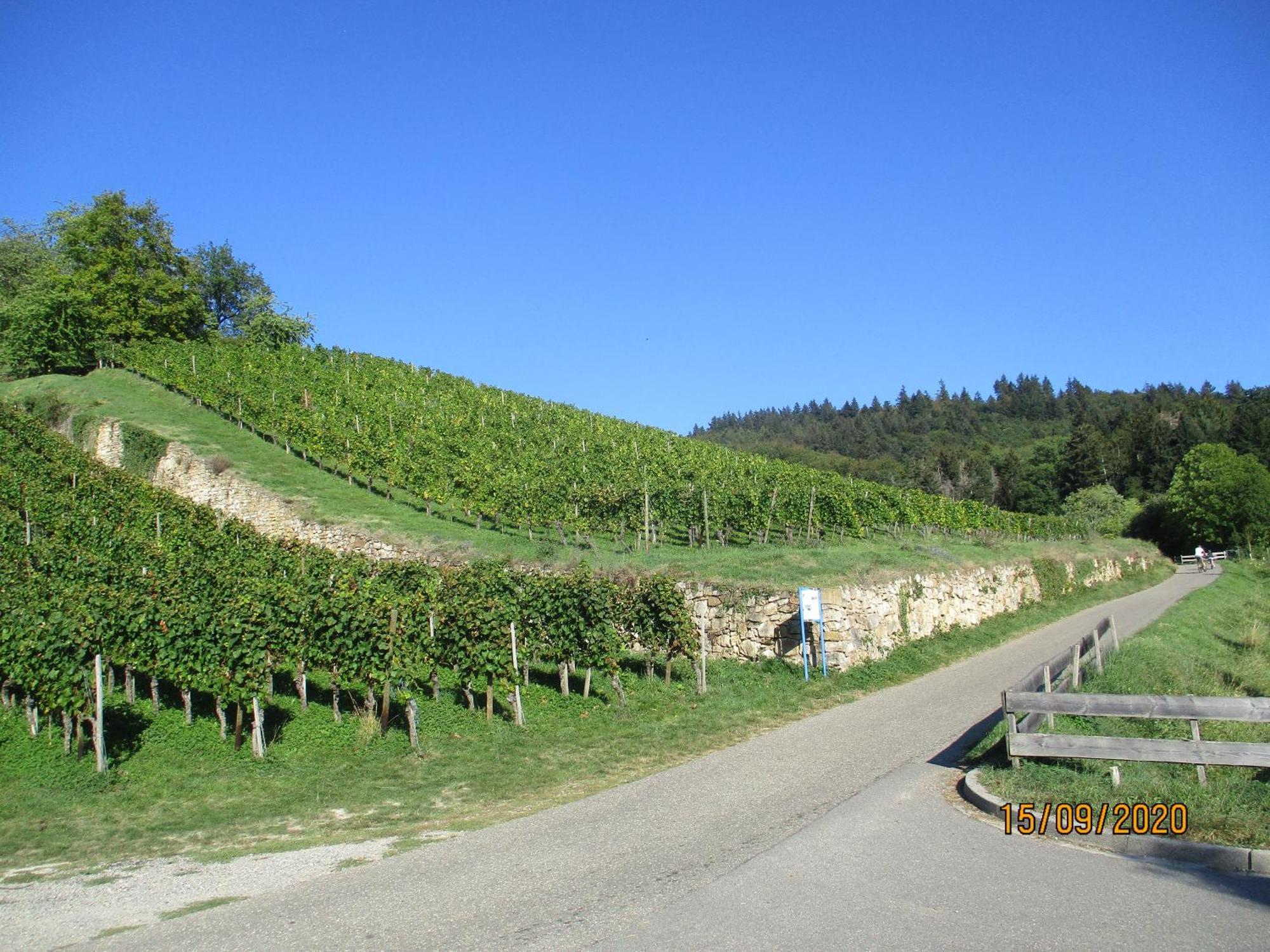 Ferienwohnung Am Sulzbach Sulzburg Zewnętrze zdjęcie